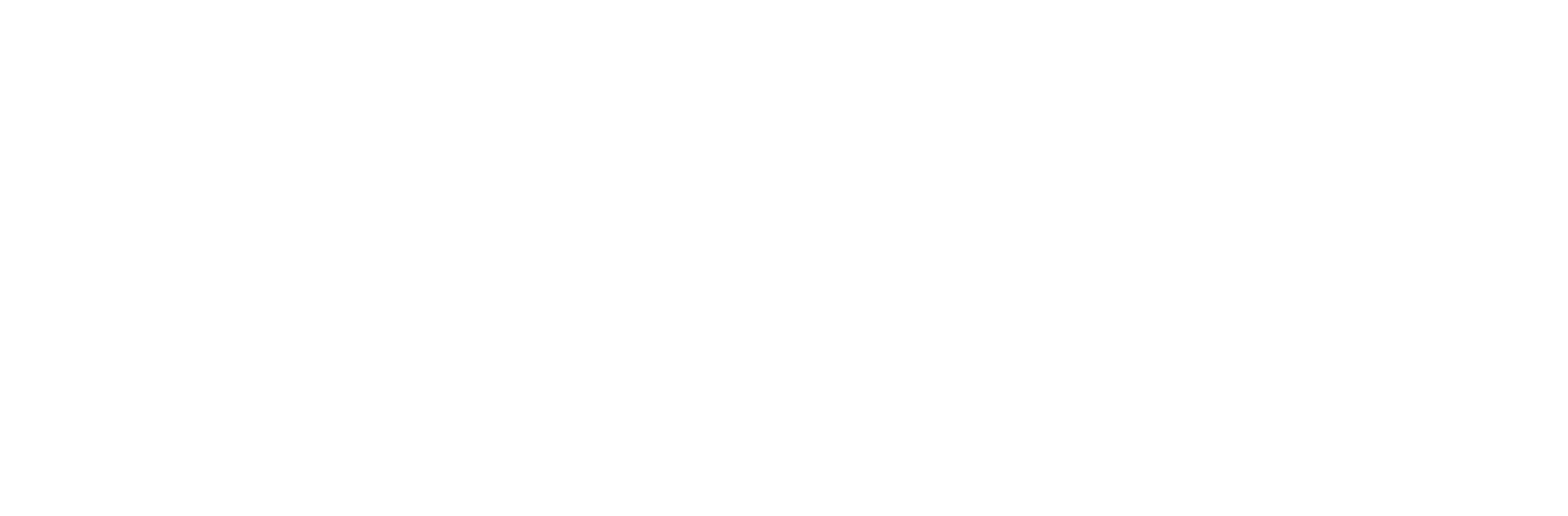PPH Logo